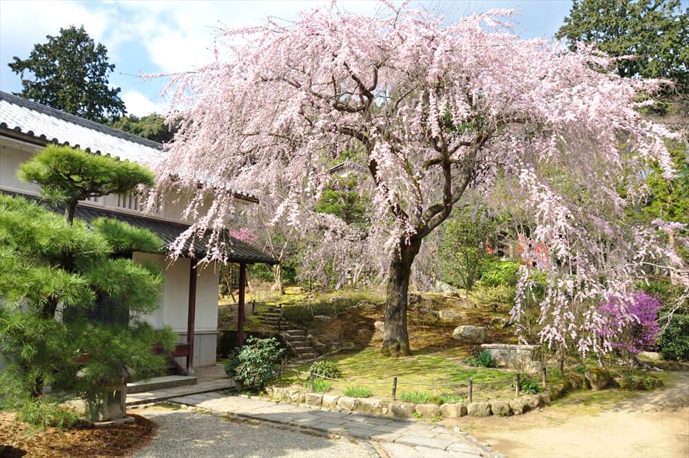 🏯 다호인 (타호인) 이미지 6